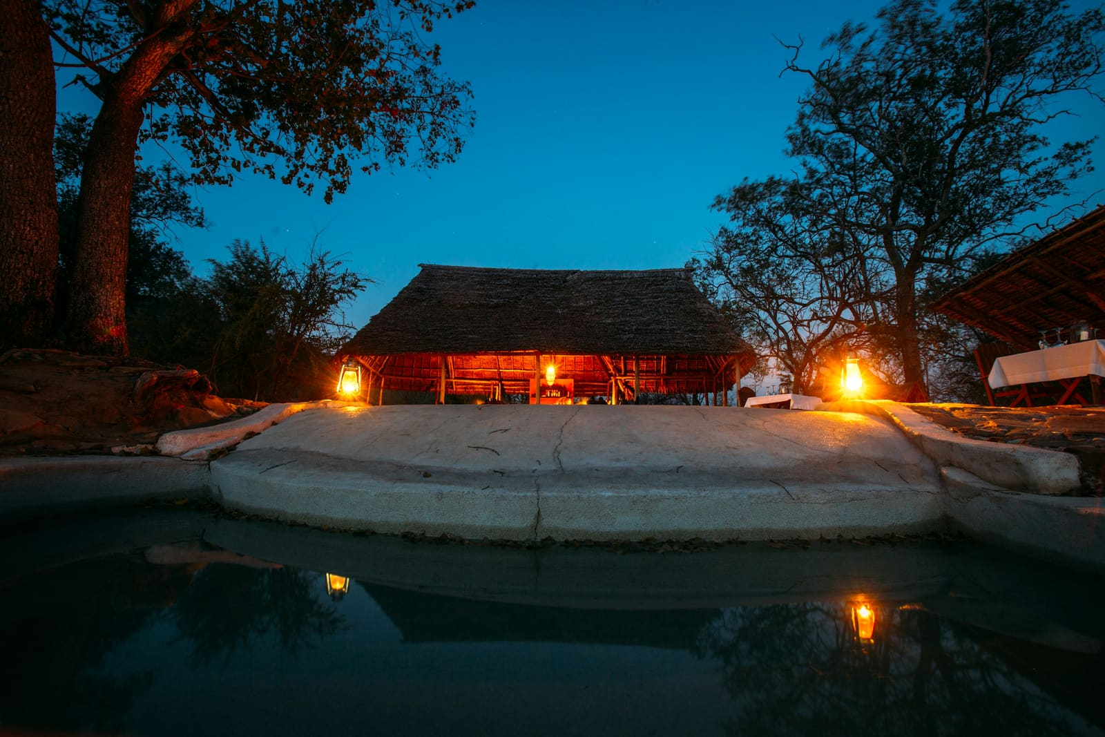 A thatched safari lodge glowing with lantern light at blue hour, seen across a dark swimming pool beneath tall trees